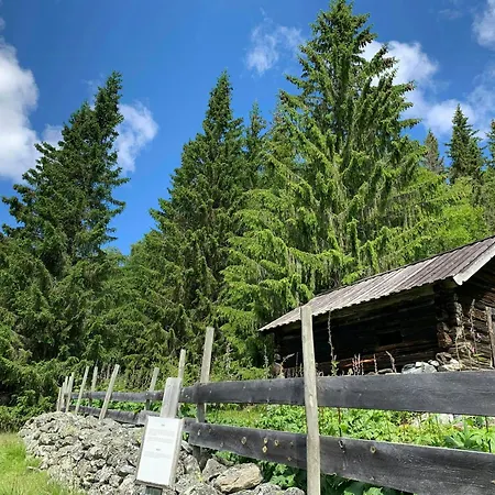 By Heimsila River In Hemsedal